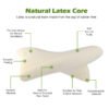 ACTIER Latex Pillow